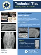 Technical Tips Abdomen Poster Preview